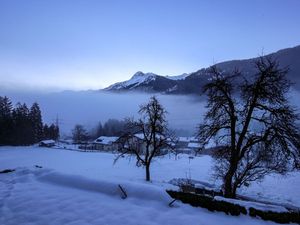 22320415-Ferienwohnung-2-Wald am Arlberg-300x225-5