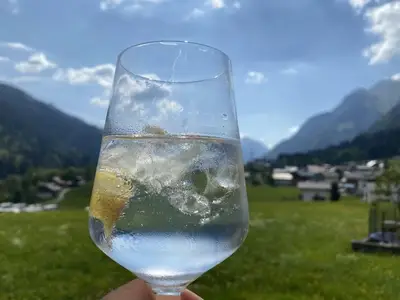 Ferienwohnung für 11 Personen (130 m²) in Wald am Arlberg 5/10