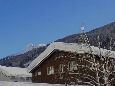 Ferienwohnung für 6 Personen (60 m²) in Wald am Arlberg 2/10