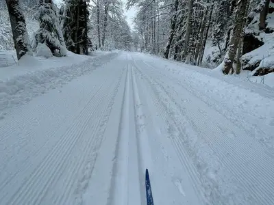 Ferienwohnung für 6 Personen (110 m²) in Wald am Arlberg 7/10