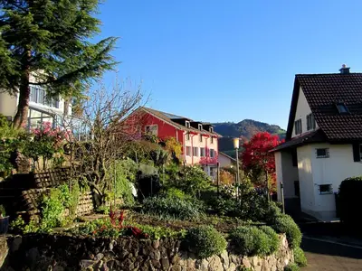 Bild 7