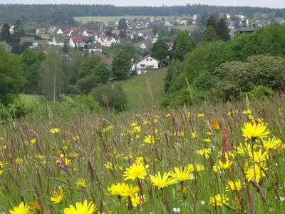 Ferienwohnung für 3 Personen (65 m²) in Lützenhardt 8/10