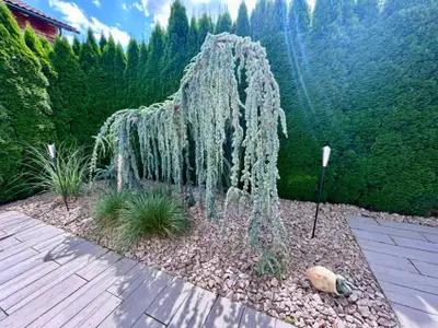 Ferienwohnung für 2 Personen (50 m²) in Waldachtal 9/9