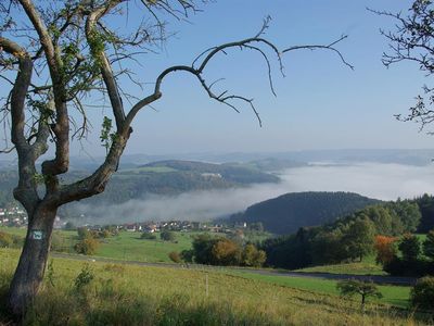 Wiedtal_Blick in Tal Wiedtal_Blick in Tal