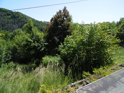 Ausblick von der Terrasse