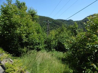 Ausblick von der Terrasse