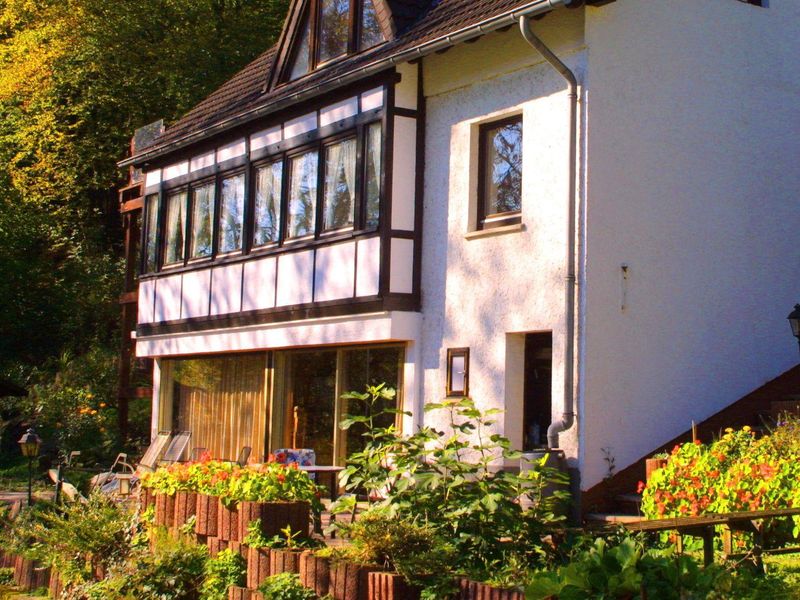 23054511-Ferienwohnung-4-Waldbreitbach-800x600-0