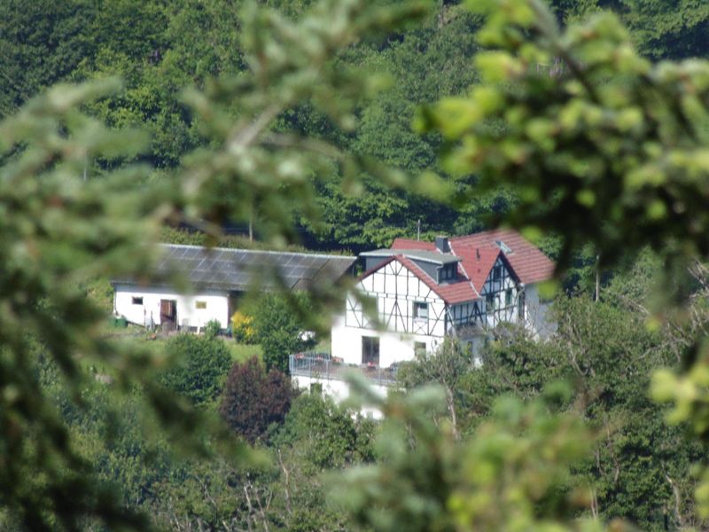 13970011-Ferienwohnung-4-Waldbreitbach-800x600-0