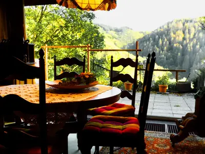 Blick vom Wohnraum auf Terrasse