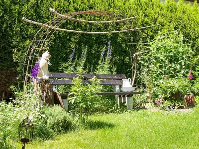 Garten 3
