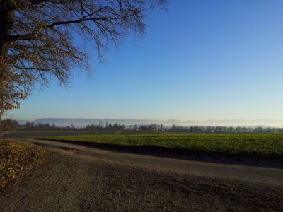 Blick zur Schwäb. Alb vom Waldrand aus