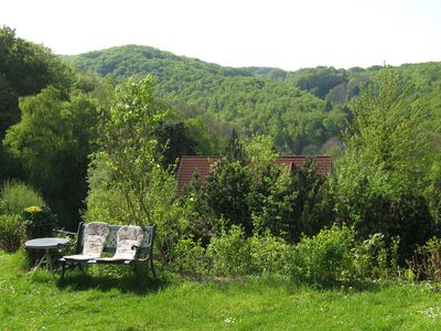 Sommer - Blick von der Grünfläche