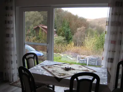 WZ  Blick Waldregion