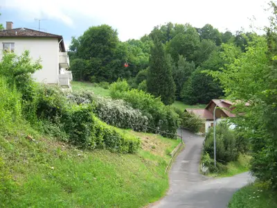 Apartmenthaus ´Schlossberg Ferienwohnung´ - Auffahrt