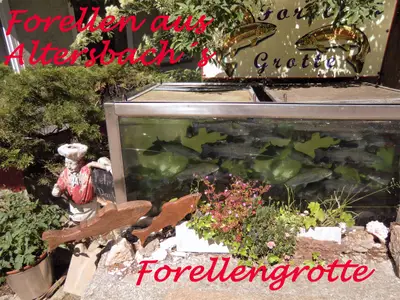 Ferienwohnung für 4 Personen (50 m²) in Waldkirch 3/8
