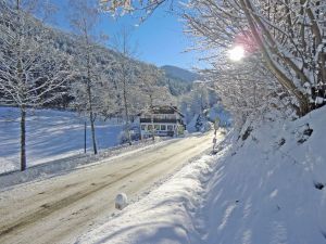 22496377-Ferienwohnung-4-Waldkirch-300x225-3