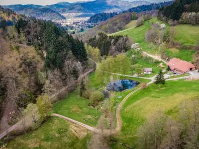 Ferienwohnung für 3 Personen (32 m²) in Waldkirch 3/10