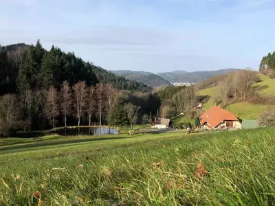 Ferienwohnung für 3 Personen (32 m²) in Waldkirch 4/10