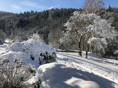 Ferienwohnung für 3 Personen (32 m²) in Waldkirch 8/10