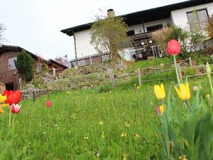 Ferienwohnung für 4 Personen (80 m²) in Waldkirchen