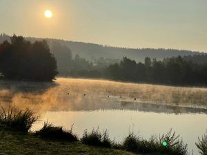 23191439-Ferienwohnung-4-Waldkirchen-300x225-0