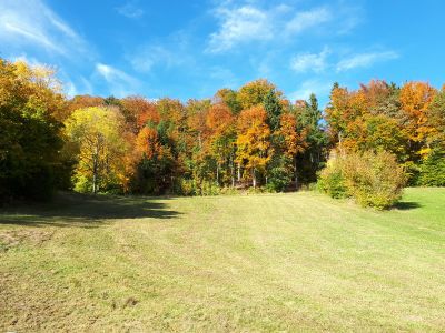 Goldener Herbst