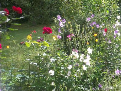 Blumen im Garten