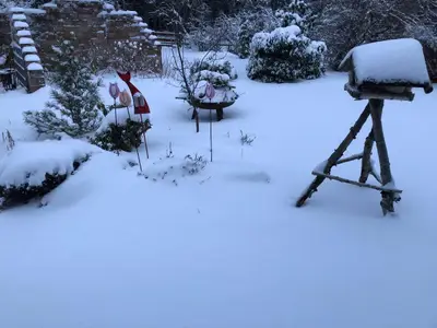Garten im Winter