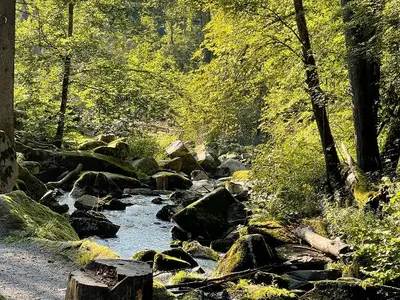 Klamm
