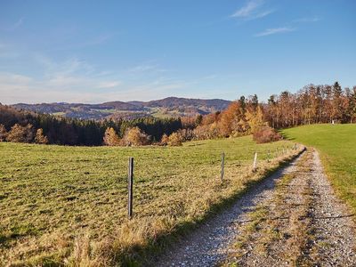 Ferienwohnungen Wald und Wiese