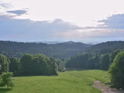 Aussicht vom Ferienhaus [Sommer]