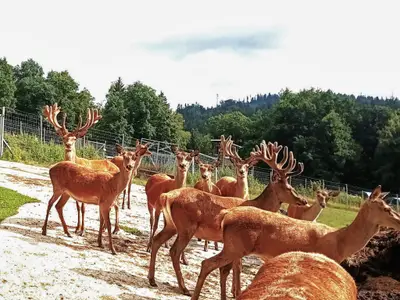 Direkte Umgebung [Sommer] (<1 km)