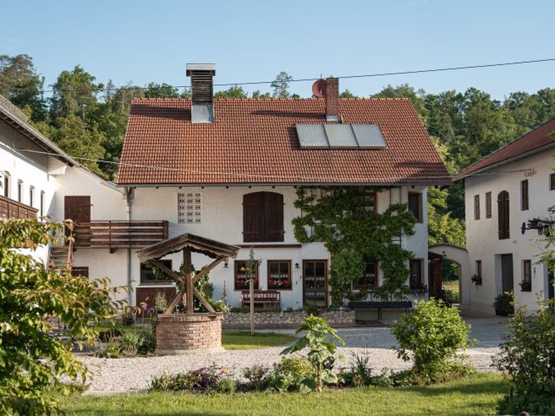 22195875-Ferienwohnung-2-Waldkraiburg-800x600-0