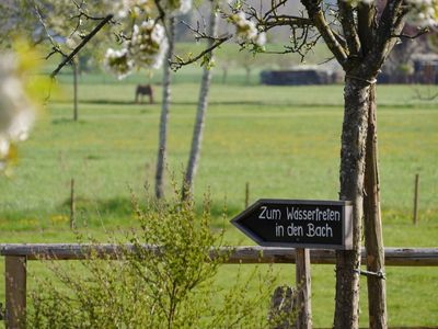 zum Wassertreten