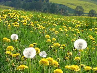 In der Umgebung von Waldsassen: Natur pur