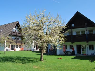 Ferienwohnung für 4 Personen (65 m²) in Walkenried 10/10