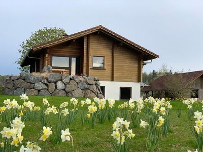 Ferienwohnung für 4 Personen (84 m²) in Walkenried 1/10