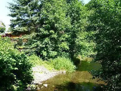 Garten. Bach am Garten