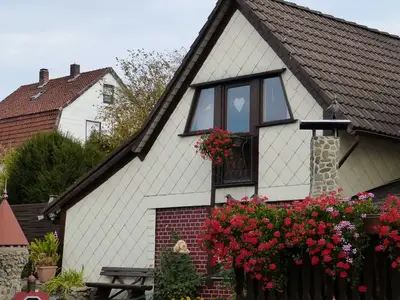 Ferienwohnung für 3 Personen (50 m²) in Walkenried 1/10