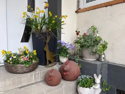 Ferienwohnung für 4 Personen (70 m²) in Walkenried 5/10
