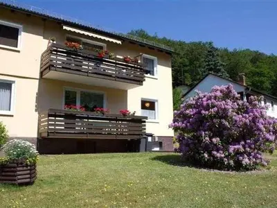 Ferienwohnung für 4 Personen (60 m²) in Walkenried 1/10