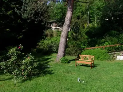 Ferienwohnung für 8 Personen (70 m²) in Walkenried 4/10