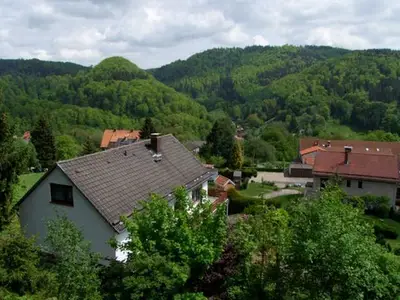 Ferienwohnung für 8 Personen (70 m²) in Walkenried 5/10