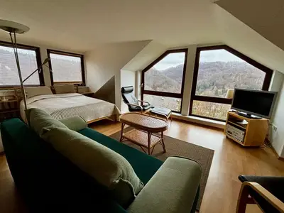 Ferienwohnung für 8 Personen (70 m²) in Walkenried 7/10