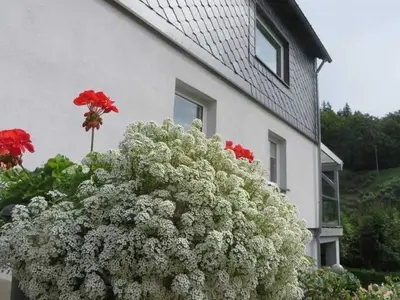 Ferienwohnung für 4 Personen (80 m²) in Walkenried 7/10