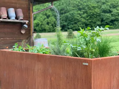 Ferienwohnung für 2 Personen (50 m²) in Walkenried 8/10
