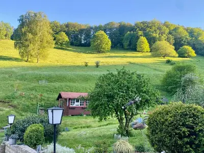 Ferienwohnung für 4 Personen (65 m²) in Walkenried 5/10