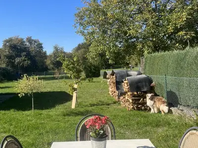 Ferienwohnung für 2 Personen (60 m²) in Wallerfangen 1/10
