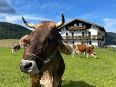 Ferienwohnung für 2 Personen (40 m²) in Wallgau 2/10