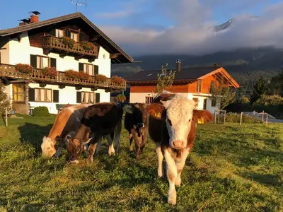 Ferienwohnung für 2 Personen (40 m²) in Wallgau 3/10